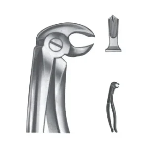 Extracting Forceps - English Pattern