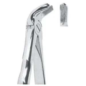 Extracting Forceps - Mead Pattern