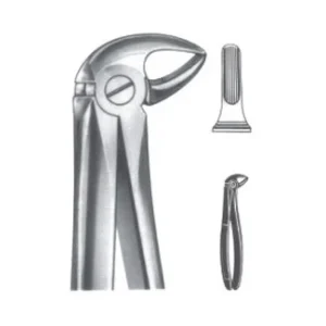 Extracting Forceps - English Pattern
