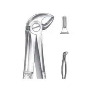Extracting Forceps - English Pattern
