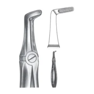 Extracting Forceps - English Pattern