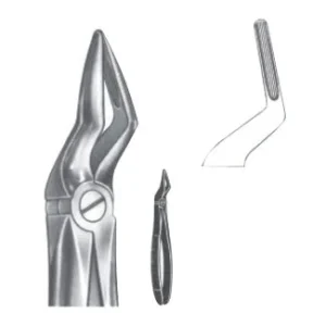 Extracting Forceps - English Pattern