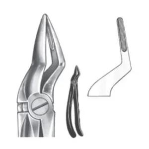 Extracting Forceps - English Pattern