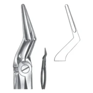 Extracting Forceps - English Pattern