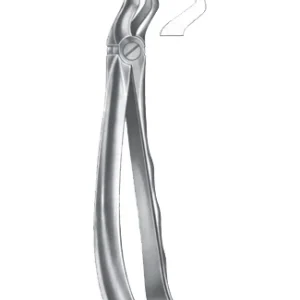 Extracting Forceps - English Pattern