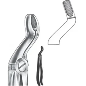 Extracting Forceps - English Pattern
