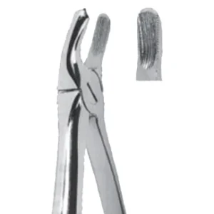 Extracting Forceps - English Pattern