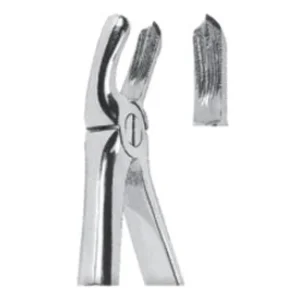 Extracting Forceps - English Pattern