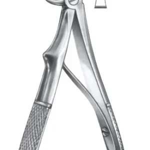 Extracting Forceps - English Pattern