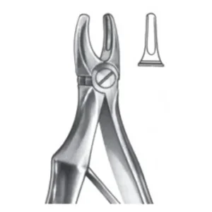 Extracting Forceps - English Pattern