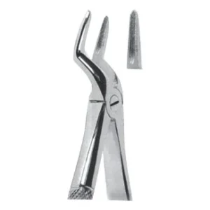 Extracting Forceps For Children - English Pattern