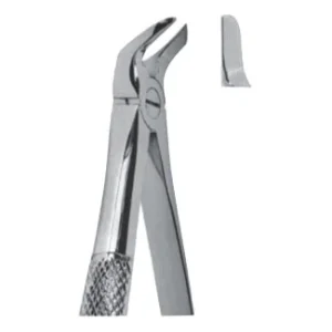 Extracting Forceps - English Pattern