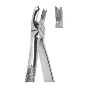 Extracting Forceps - English Pattern