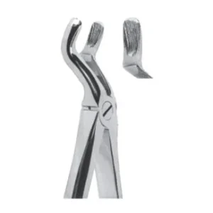Extracting Forceps - English Pattern