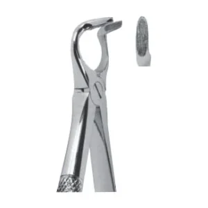 Extracting Forceps - English Pattern