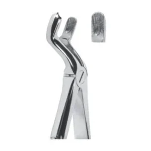 Extracting Forceps - English Pattern