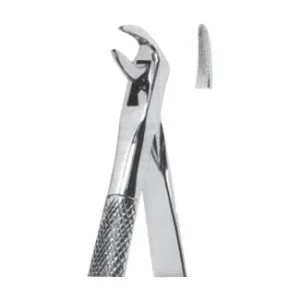 Extracting Forceps - English Pattern