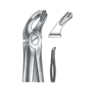 Extracting Forceps - English Pattern