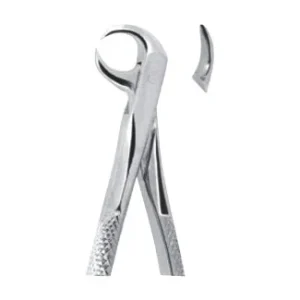 Extracting Forceps - English Pattern