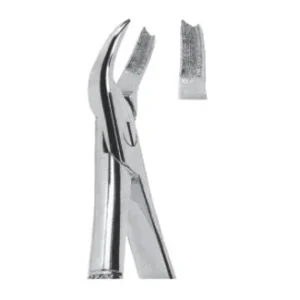 Extracting Forceps - English Pattern