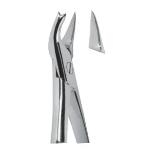 Extracting Forceps - English Pattern