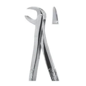 Extracting Forceps - English Pattern