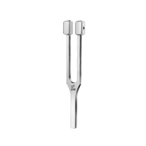Tuning Fork