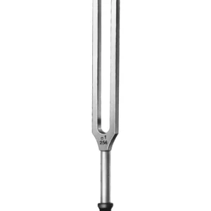 Tuning Fork