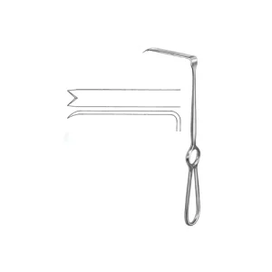 Ramus Retractor