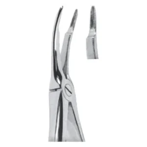 Extracting Forceps - English Pattern