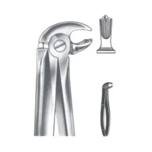 Extracting Forceps - English Pattern