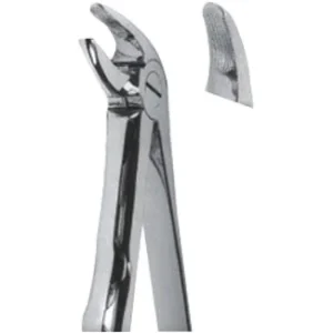 Extracting Forceps - Mead Pattern