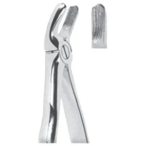 Extracting Forceps - Mead Pattern